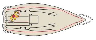 Figure from page 237