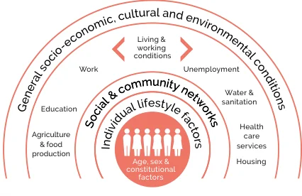 Figure 2.1 Determinants of health