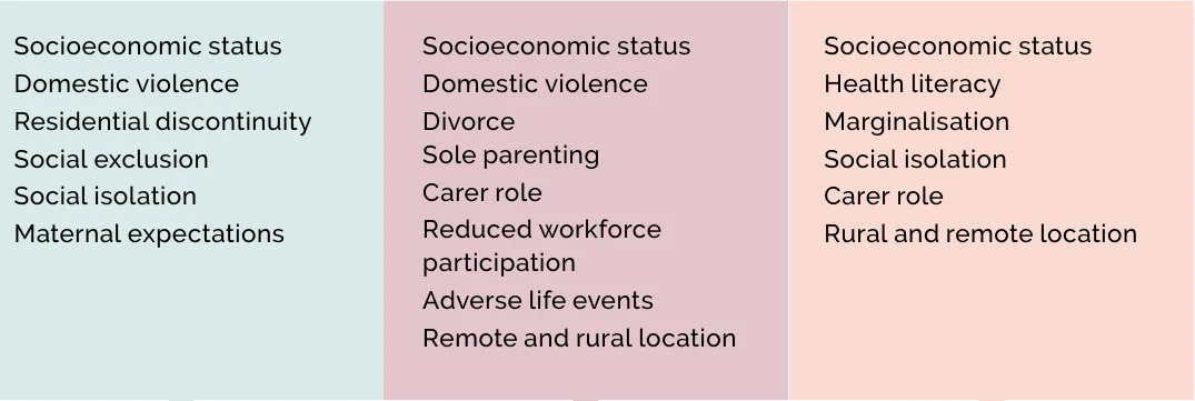 Figure 2.5 Health issues and social determinants