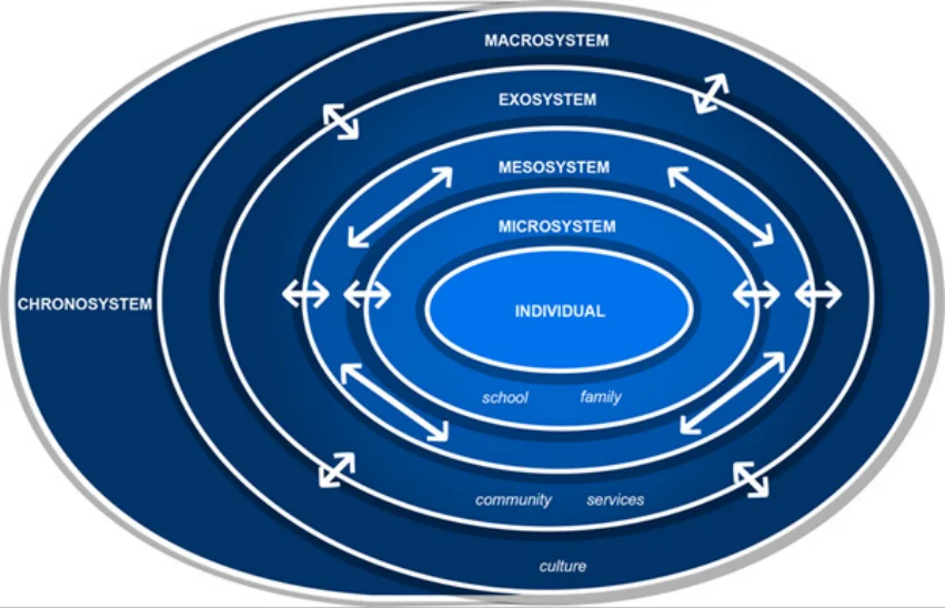 Figure 1.1: Bronfenbrenner’s bioecological model