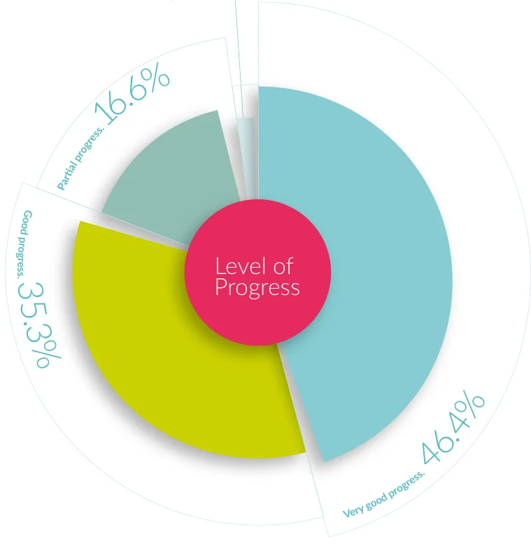 Table 2.10: Progress made in the implementation of inspection recommendations in primary and