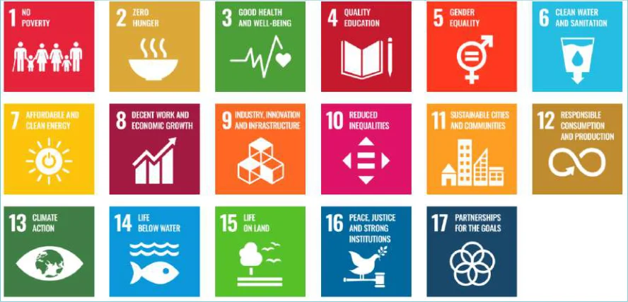 Figure 3.1: United Nations Sustainable Development Goals4